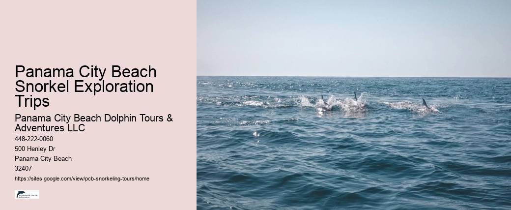 Panama City Beach Snorkel Exploration Trips