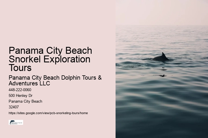 Panama City Beach Snorkel Exploration Tours